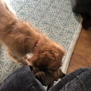 Meet your Posher, Rhonda